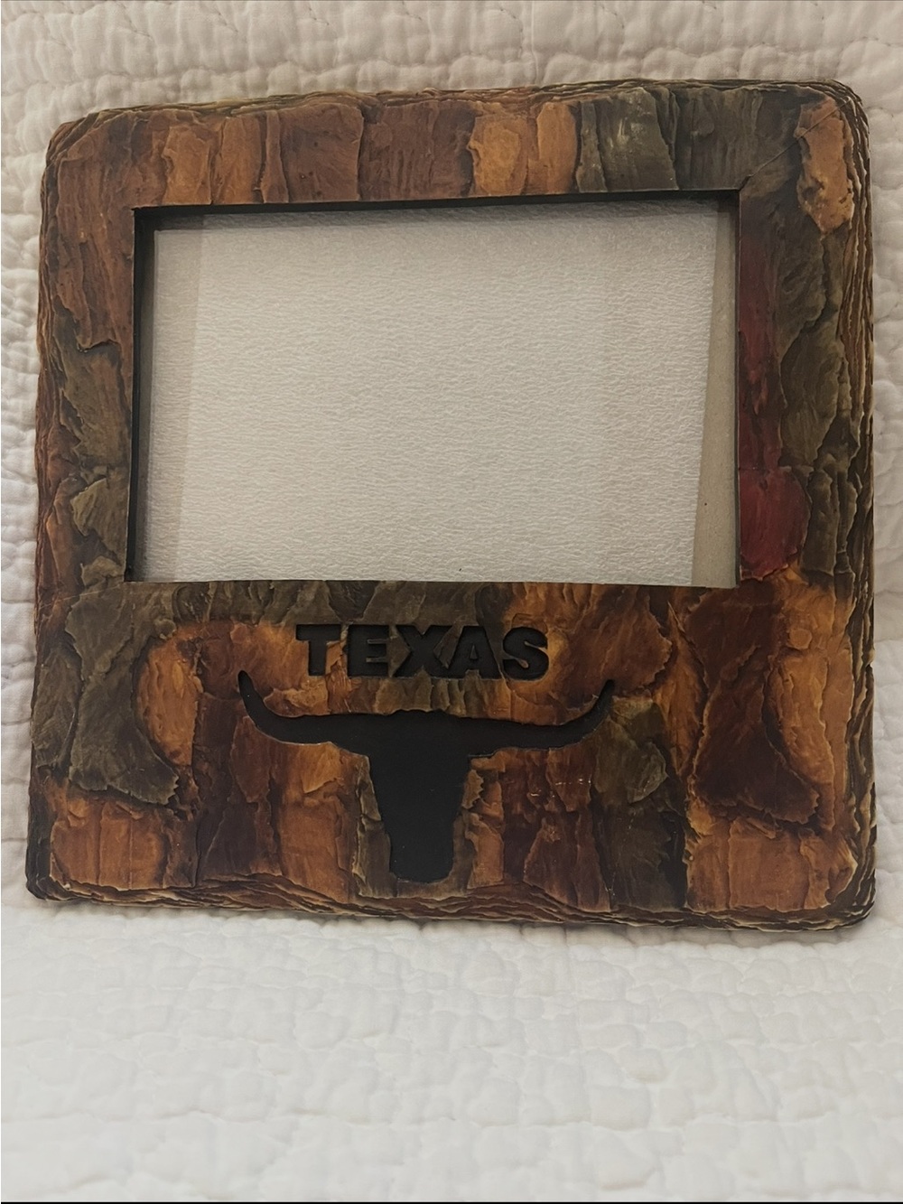 Texas Themed Rustic Brown Picture Frame with Longhorn Accent